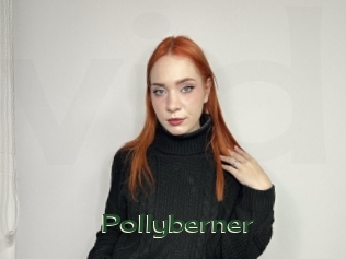 Pollyberner