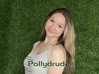 Pollydrudge