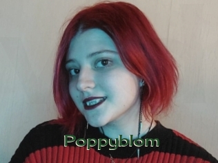 Poppyblom