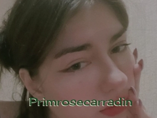 Primrosecarradin