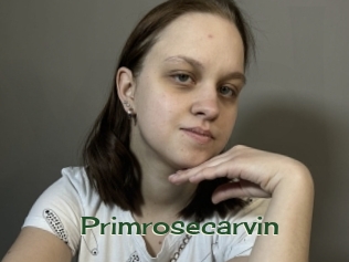 primrosecarvin Vidéos Kochonnes