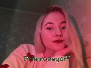 primrosegaff Vidéos Kochonnes