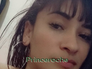 princeroche Vidéos Kochonnes