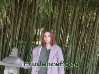 Prudencefigge
