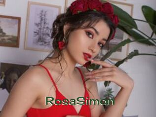 RosaSimon Vidéos Kochonnes