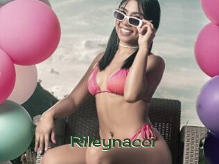 Rileynacci