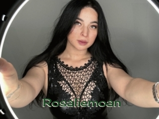 rosaliemoan Vidéos Kochonnes