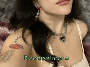 Rosapalmera