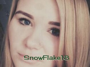 SnowFlake18