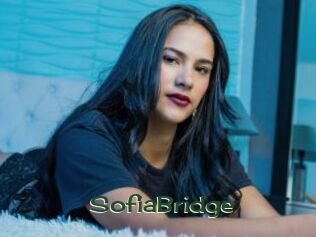 SofiaBridge