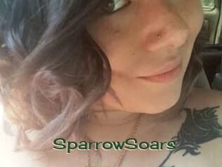 SparrowSoars