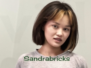 Sandrabricks