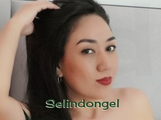 selindongel Vidéos Kochonnes