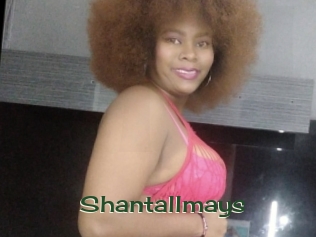 Shantallmays