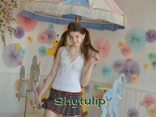 Shytulip