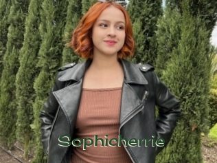 Sophicherrie