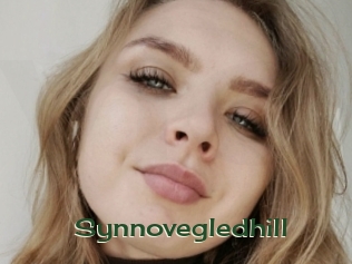 Synnovegledhill