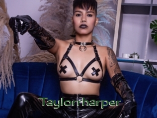 taylorrharper Vidéos Kochonnes