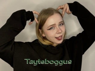 tayteboggus Vidéos Kochonnes