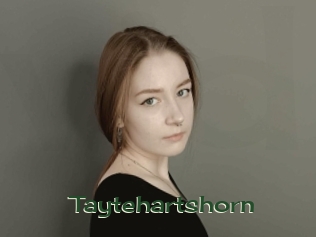 Taytehartshorn