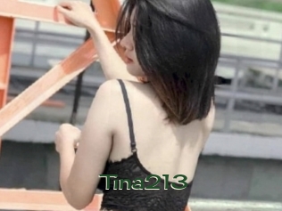 tina213 Vidéos Kochonnes