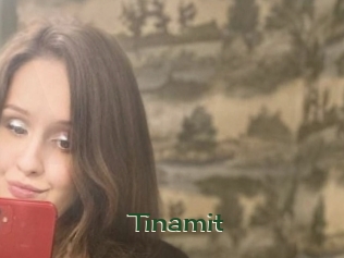 Tinamit