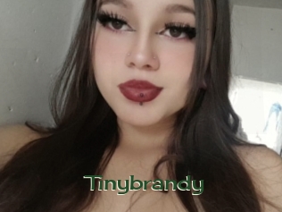 Tinybrandy