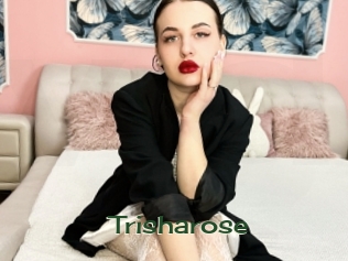 trisharose Vidéos Kochonnes