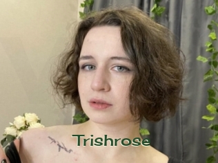 Trishrose