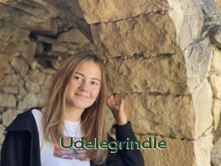 Udelegrindle
