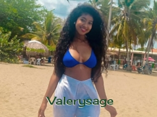 valerysage Vidéos Kochonnes