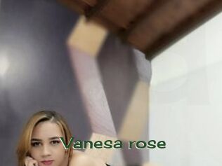 Vanesa_rose