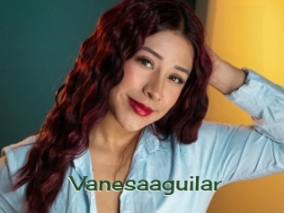 vanesaaguilar Vidéos Kochonnes