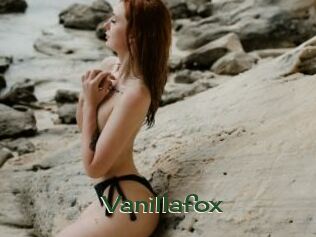 Vanillafox