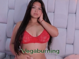 vegaburning Vidéos Kochonnes