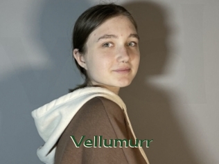 Vellumurr