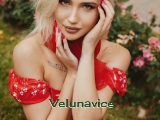 velunavice Vidéos Kochonnes