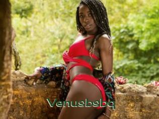 venusbsbq Vidéos Kochonnes