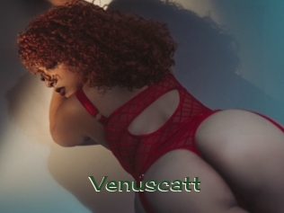 Venuscatt