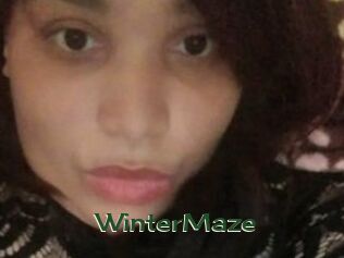 Winter_Maze
