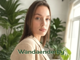 Wandaenderby