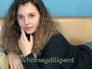 Whitneydiligent