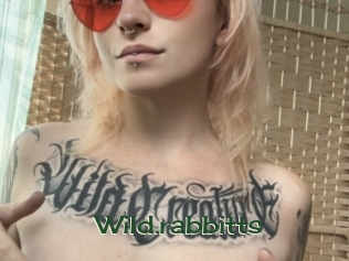 Wild.rabbitts