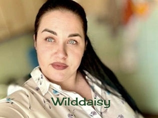 Wilddaisy