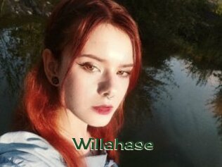 Willahase
