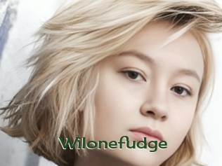 Wilonefudge