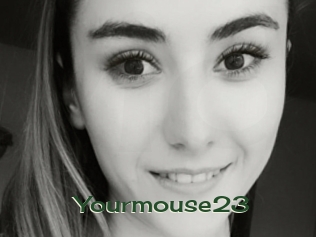 Yourmouse23