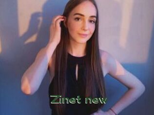 Zinet_new