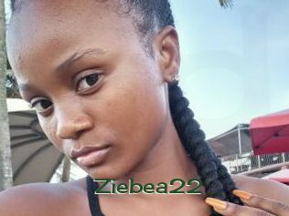 Ziebea22